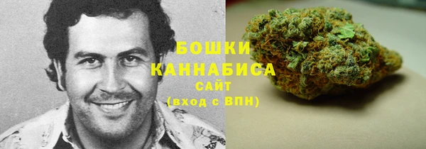 стаф Сосновоборск