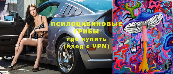 спайс Богданович